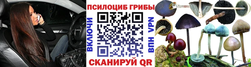 Псилоцибиновые грибы GOLDEN TEACHER  Андреаполь 