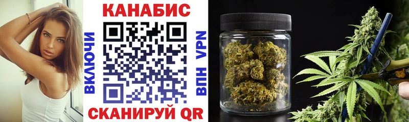Каннабис OG Kush  Андреаполь 